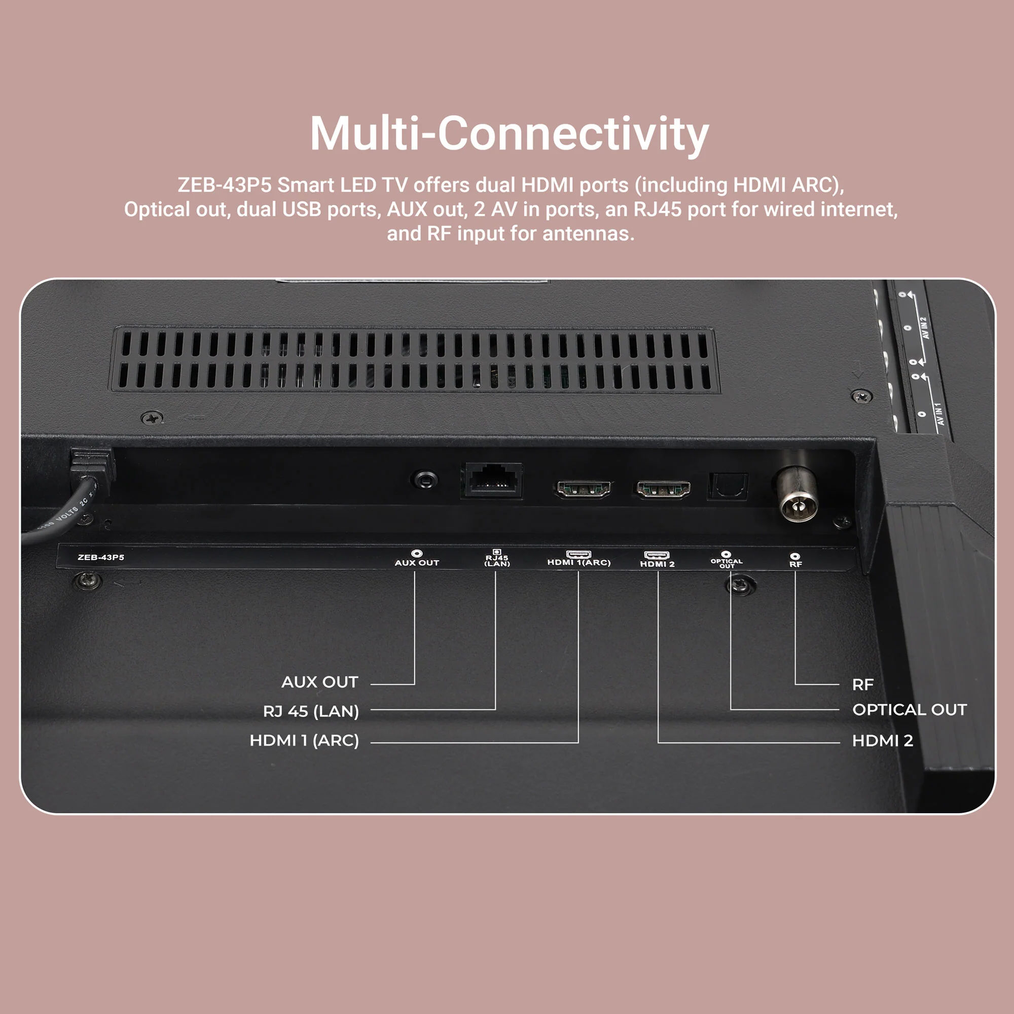 Zeb 43P5 - Image 8