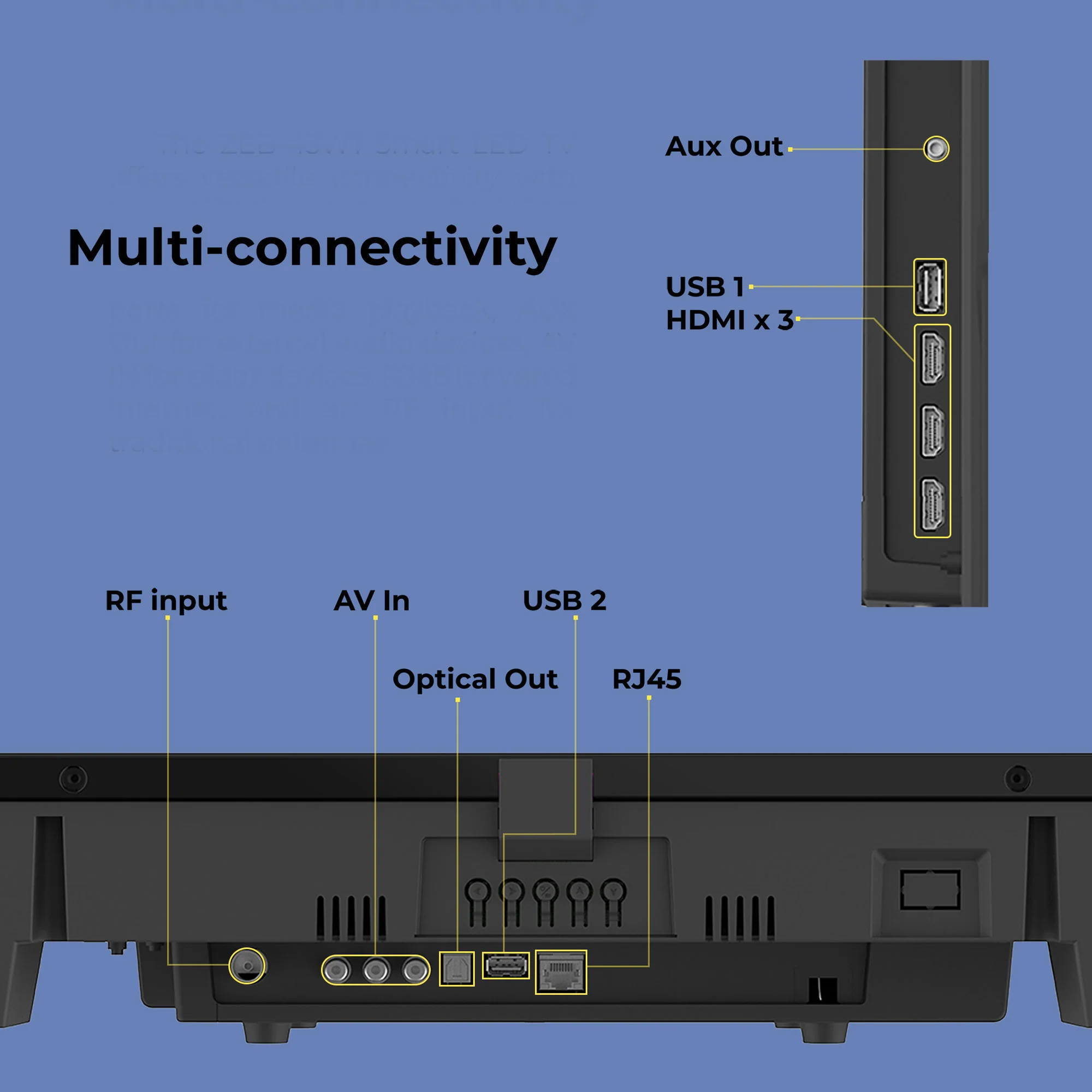Zeb 43W1 - Image 11