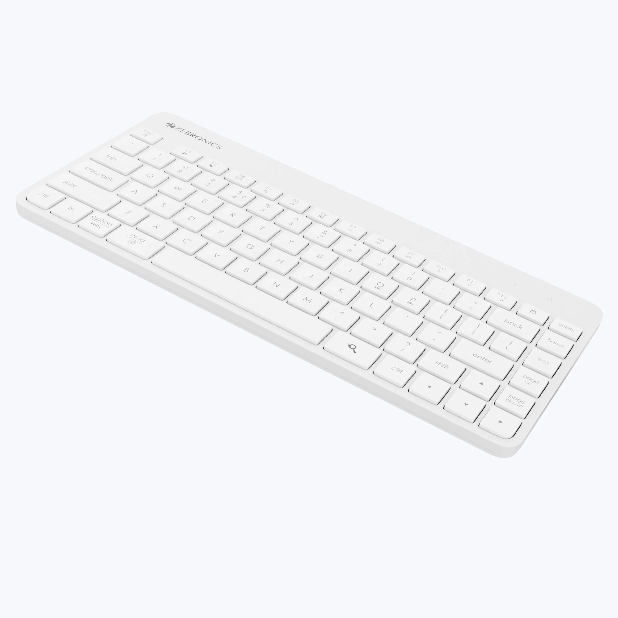 Zeb Companion 201 - Image 13