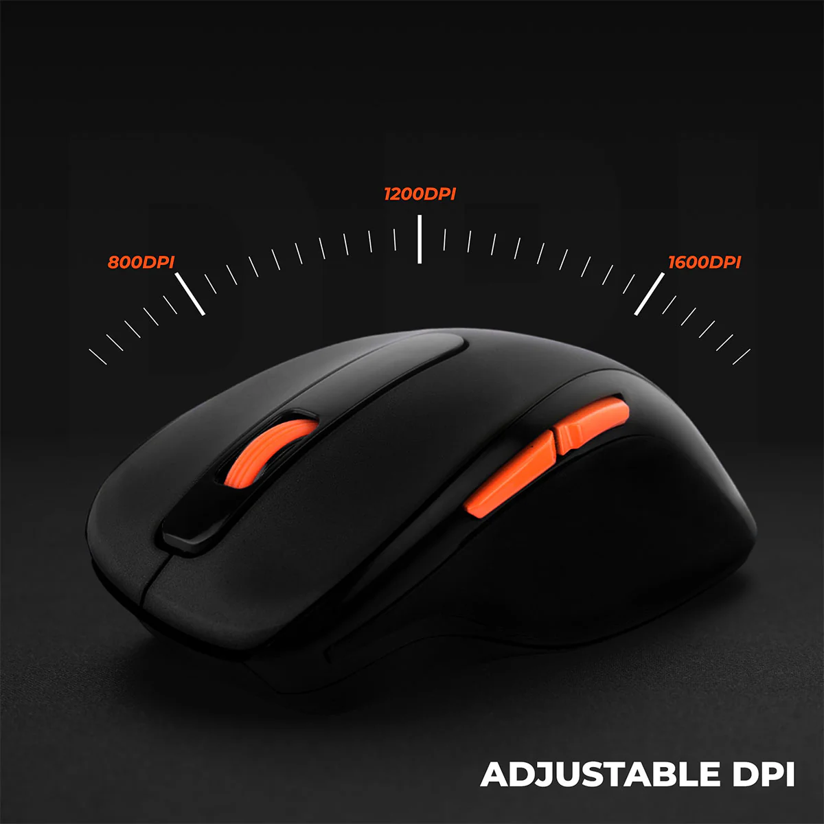 Zeb Curve - Image 8