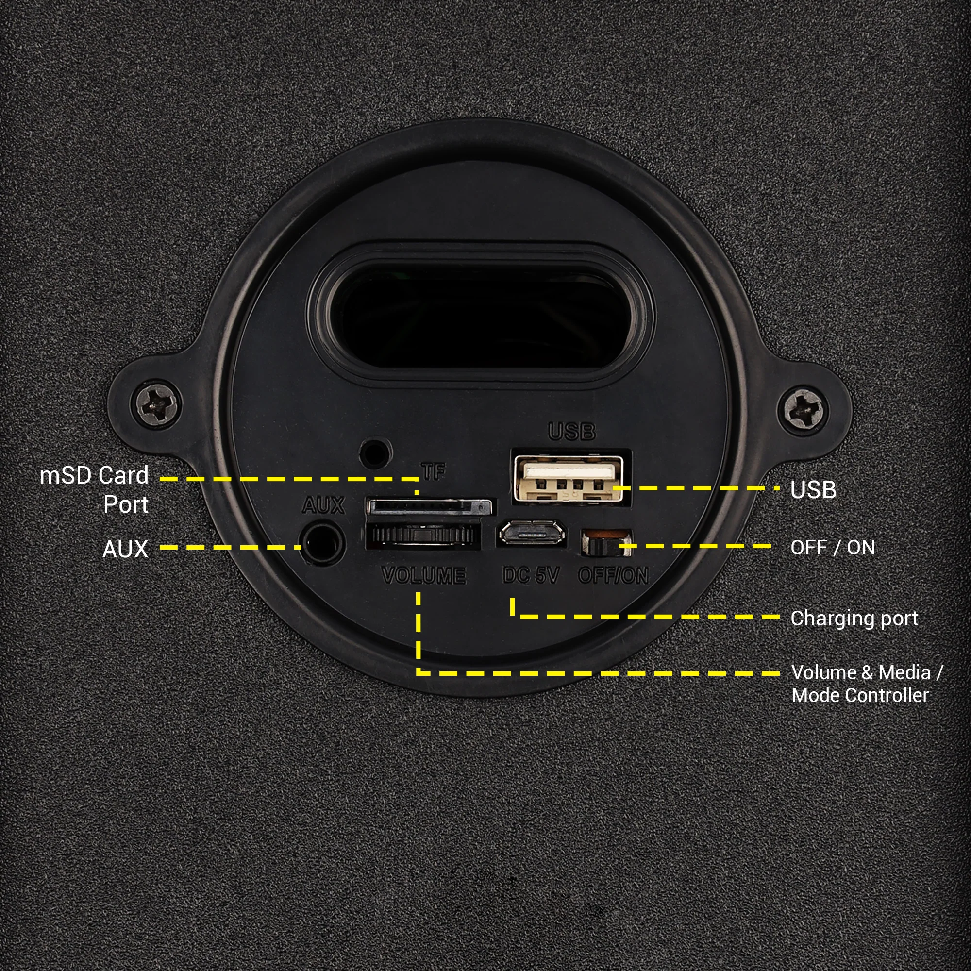 Zeb Zest 11 - Image 5